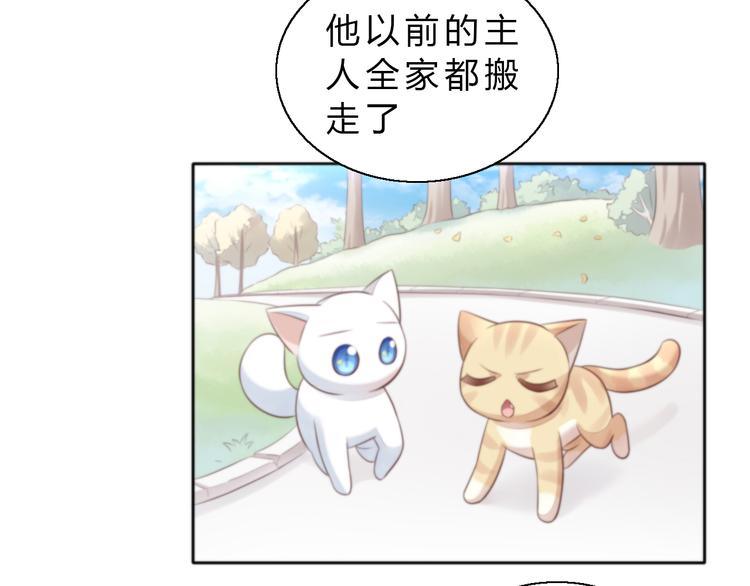 第61话 合作25