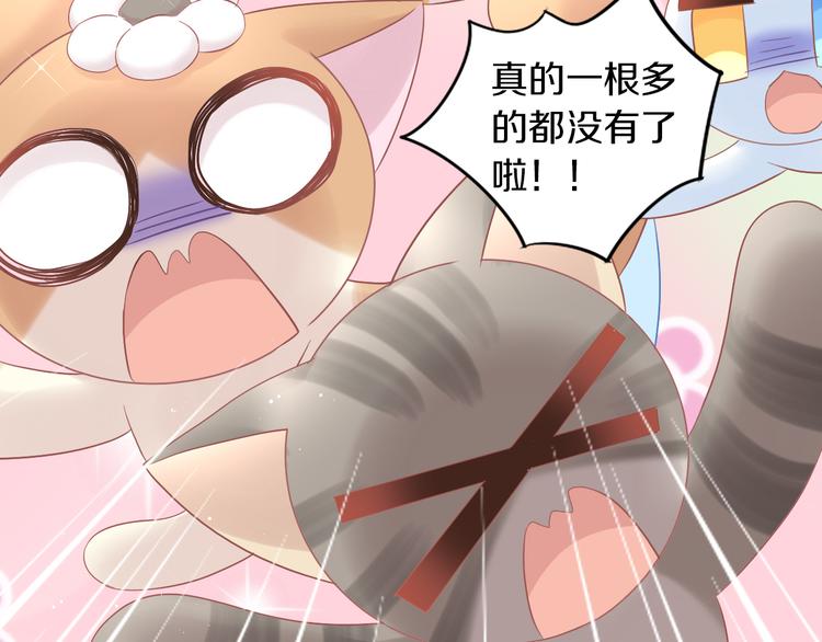 第195话  宠物毛毡86