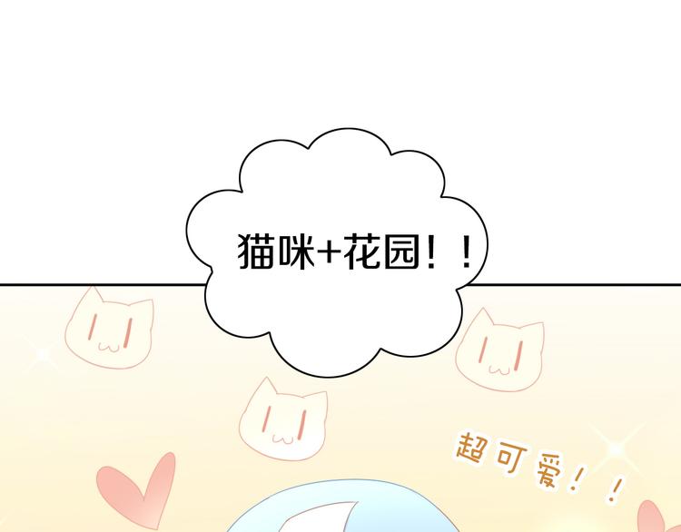 第166话 猫咪花园75