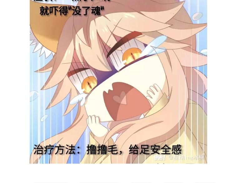 第170话 皮卡和小智100