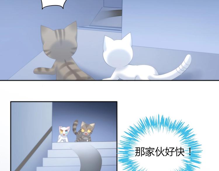 第96话 神秘小偷现身59