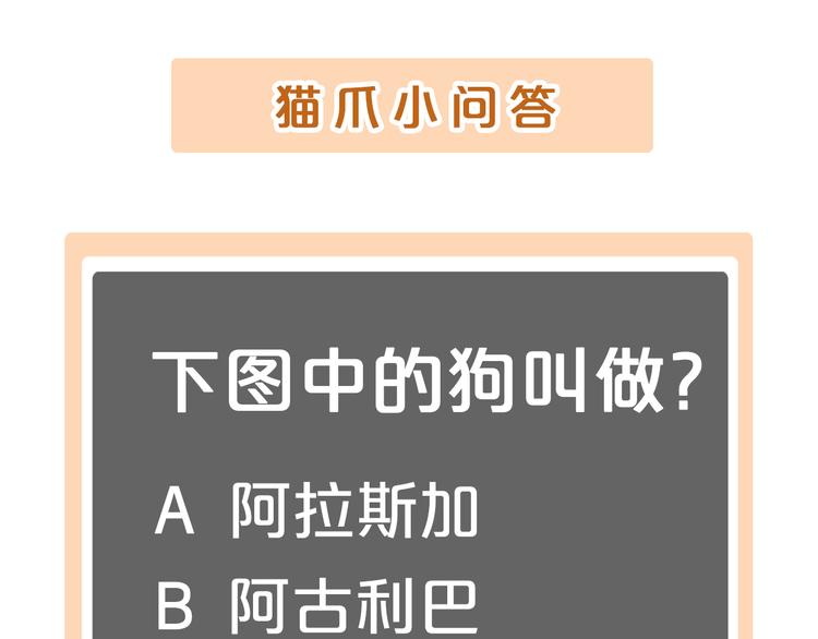 第143话 腮红鹦鹉92