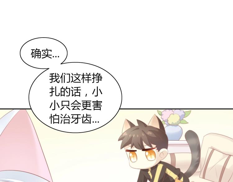 第114话 猫咪也要刷牙！78