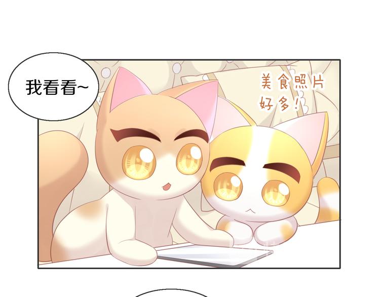 第148话 美颜吧！阿仆！52