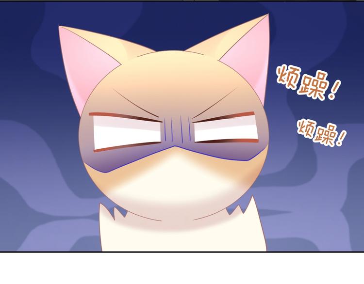 第128话 猫舍C位（四）21