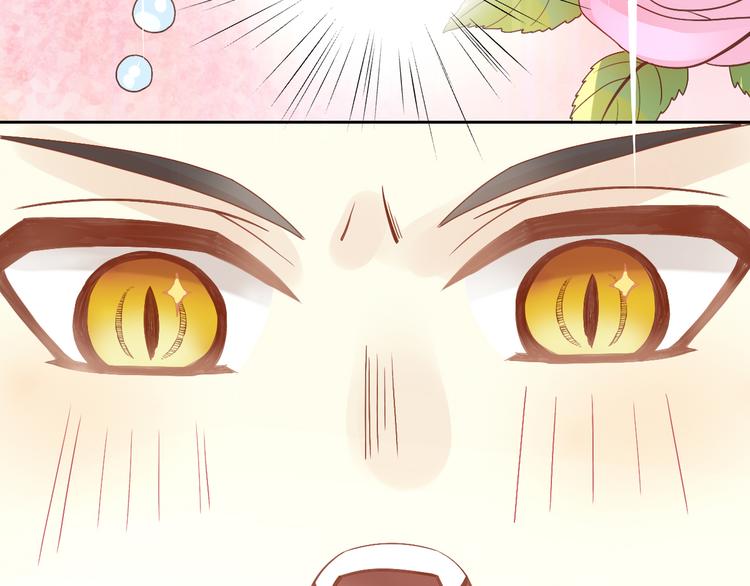 第2话  守护者花花69