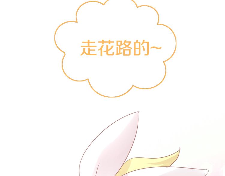 第147话 走花路吧！皮卡！80