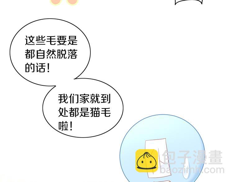 第195话  宠物毛毡31