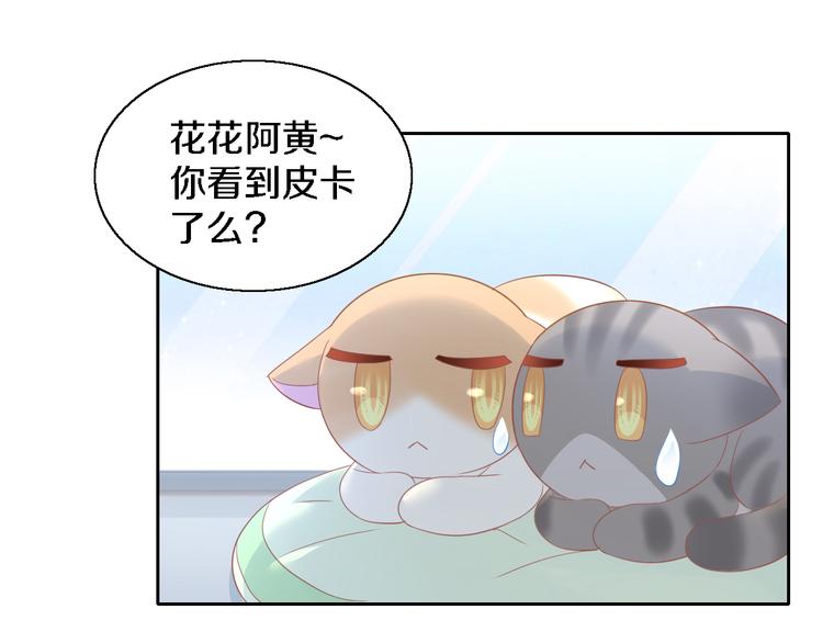 第147话 走花路吧！皮卡！24