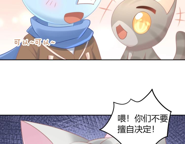 第126话 猫舍C位（二）80