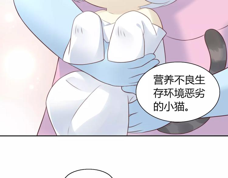 第41话 小可怜竟然是？42