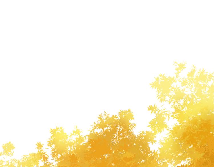 第178话 爆火视频4