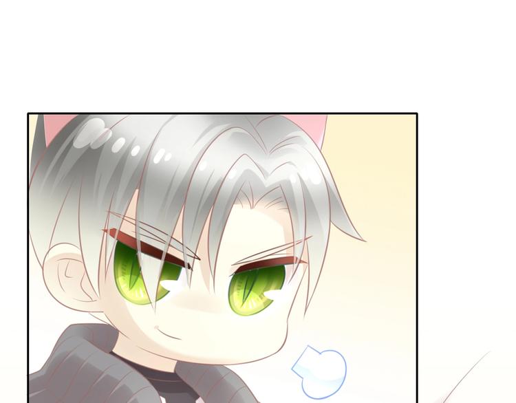 第128话 猫舍C位（四）15