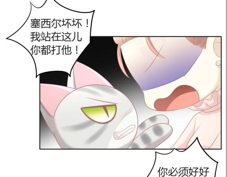 第125话 猫舍C位（一）49
