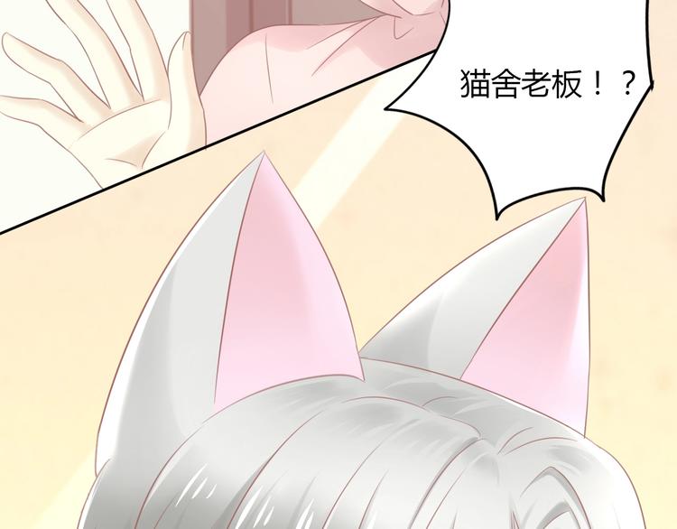 第129话 猫舍C位（五）85
