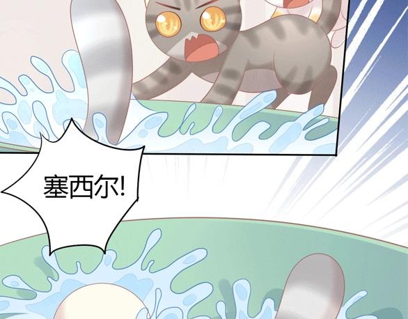 第127话 猫舍C位（三）99