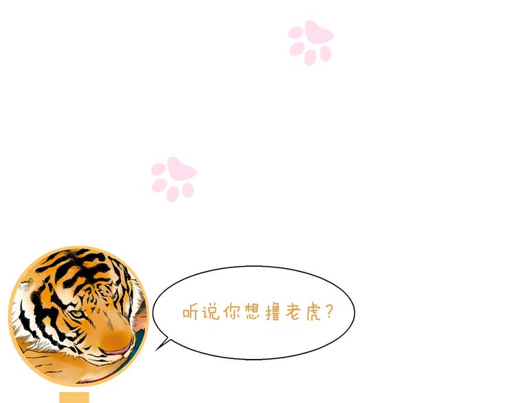 第93话 撸猫快乐成仙！68