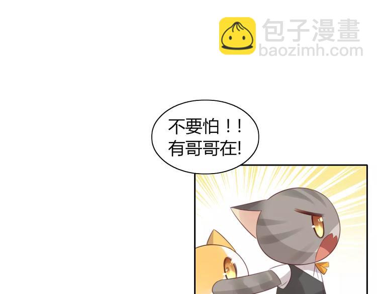 第35话 猫执事（下）11