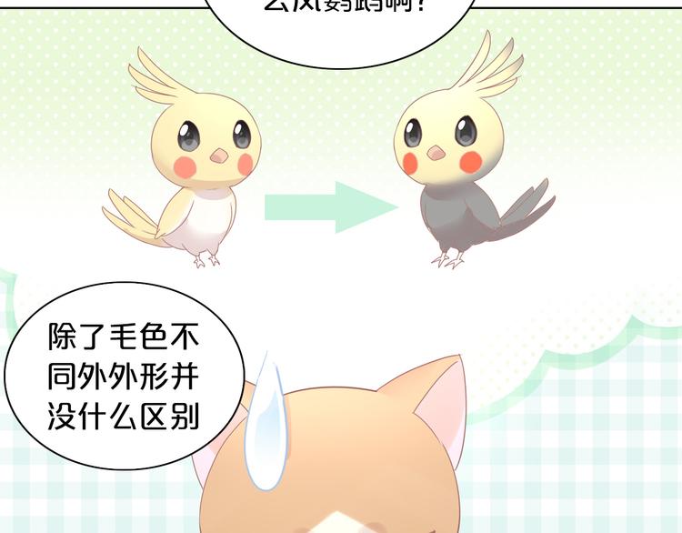 第170话 皮卡和小智78