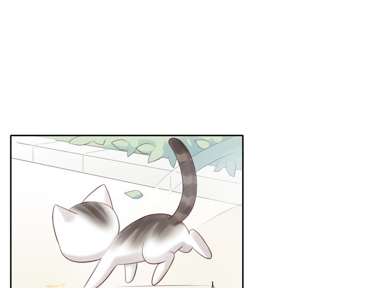 第54话 做你的英雄73