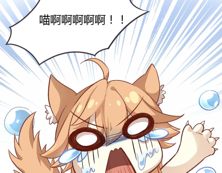 第1话  猫主子驾到！46