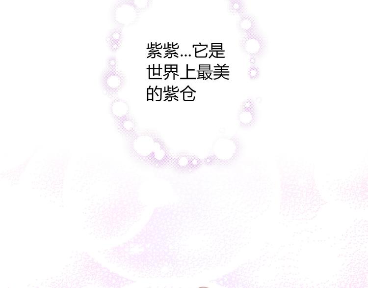 第108话 仓鼠也有梦想！51