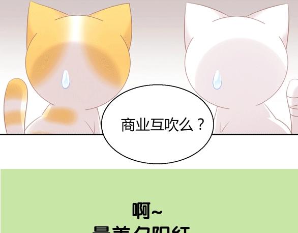第128话 猫舍C位（四）96