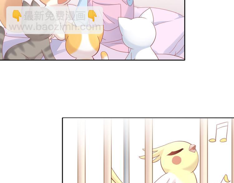 第143话 腮红鹦鹉81
