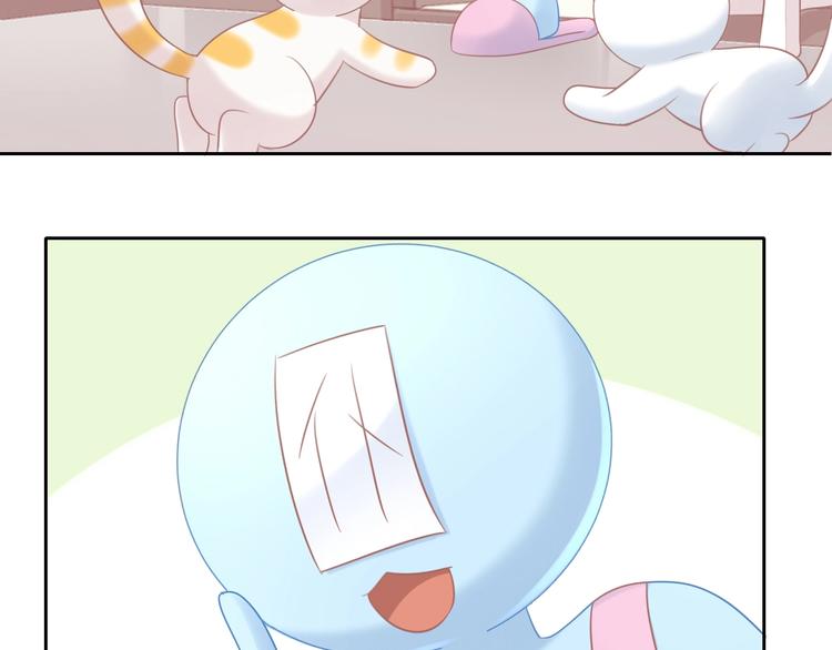 第129话 猫舍C位（五）82