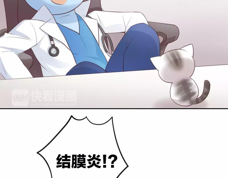 第41话 小可怜竟然是？36