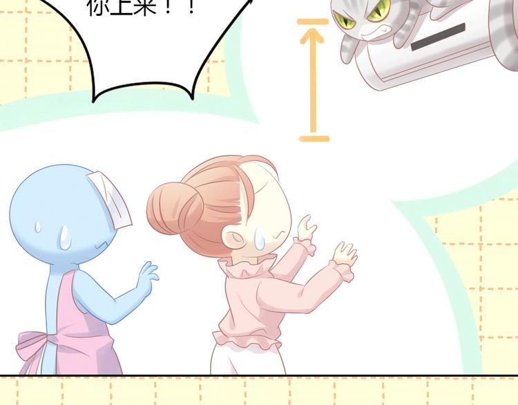 第130话 猫舍C位（六）21