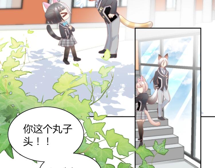 第120话 猫爪学园（三）6