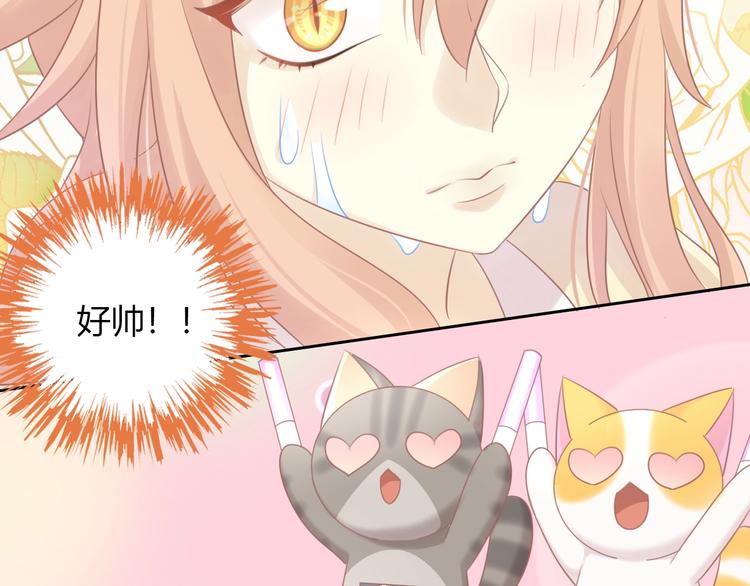 第128话 猫舍C位（四）84