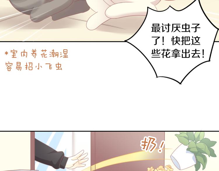 第166话 猫咪花园55