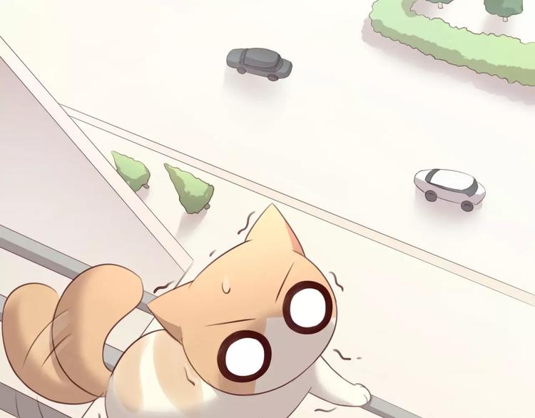 第39话 鸟妈妈的苦心47