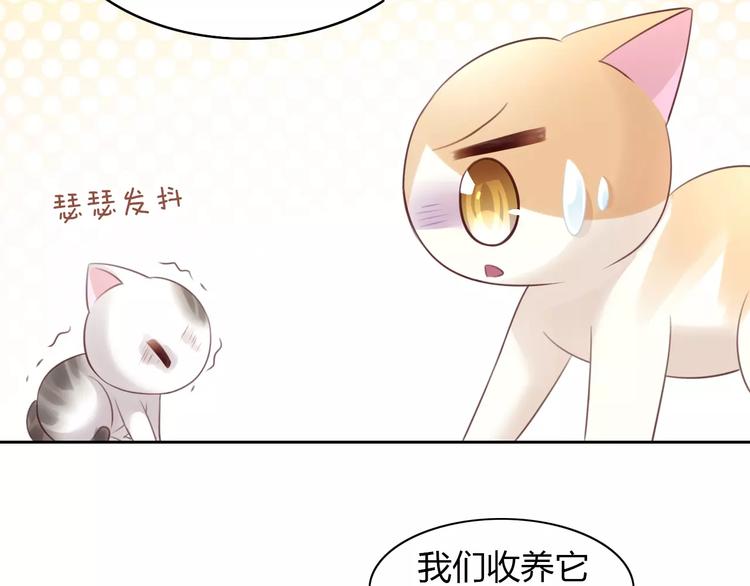 第40话 小可怜68