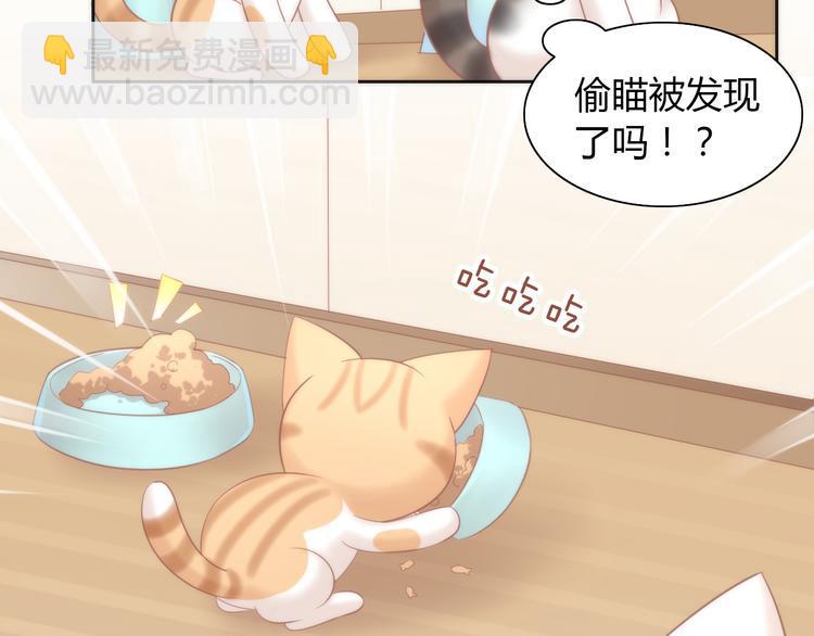 第87话  你不是王子！35