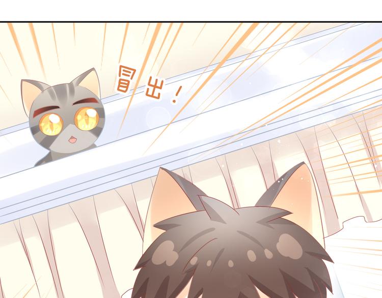 第169话 躲猫猫74