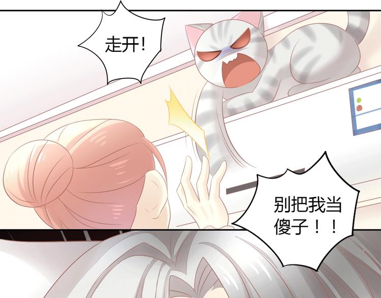 第130话 猫舍C位（六）25