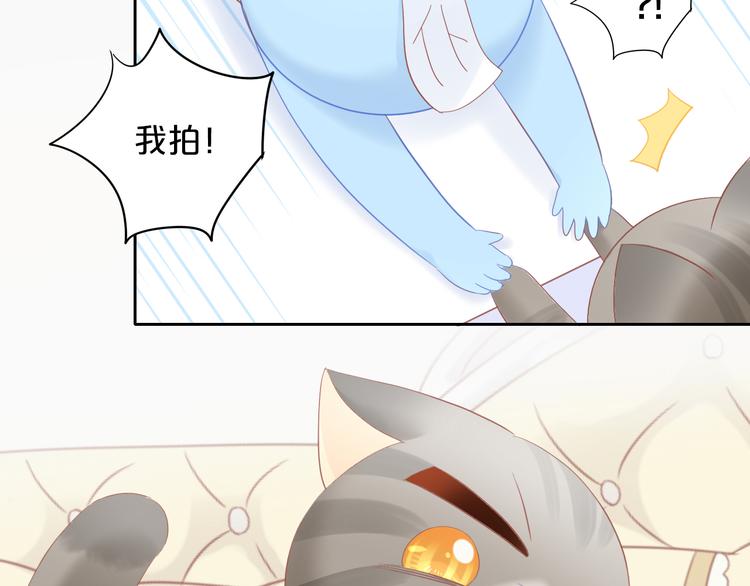第200话 猫爪之下31