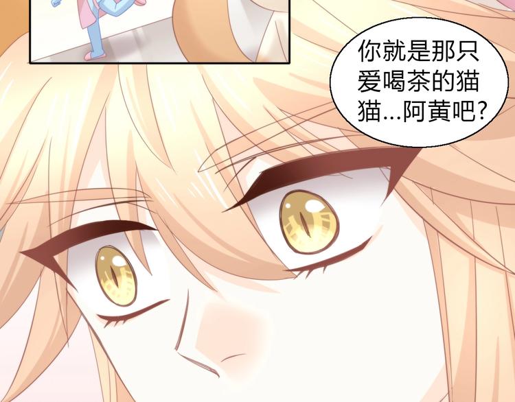 第103话 迷之制茶师43