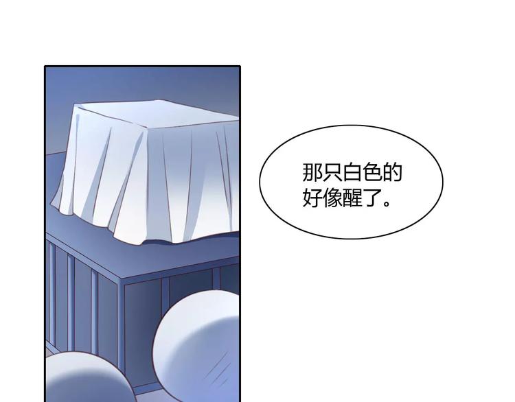 第14话  萌宠失踪63