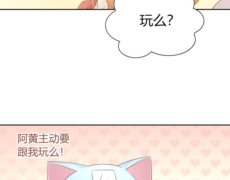 第51话 人猫大互换？72