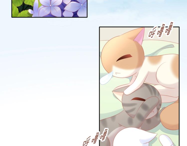 第106话 猫怕老鼠5