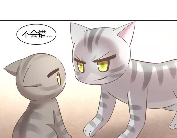 第28话 迷之自信64