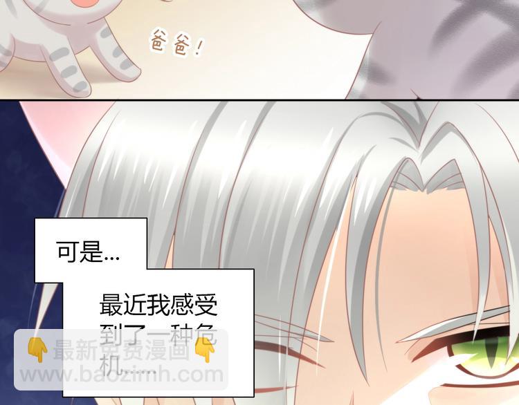 第125话 猫舍C位（一）10