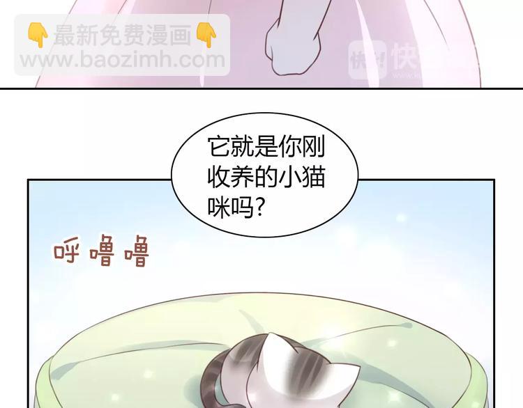 第41话 小可怜竟然是？6