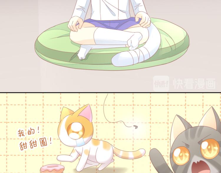 第166话 猫咪花园36