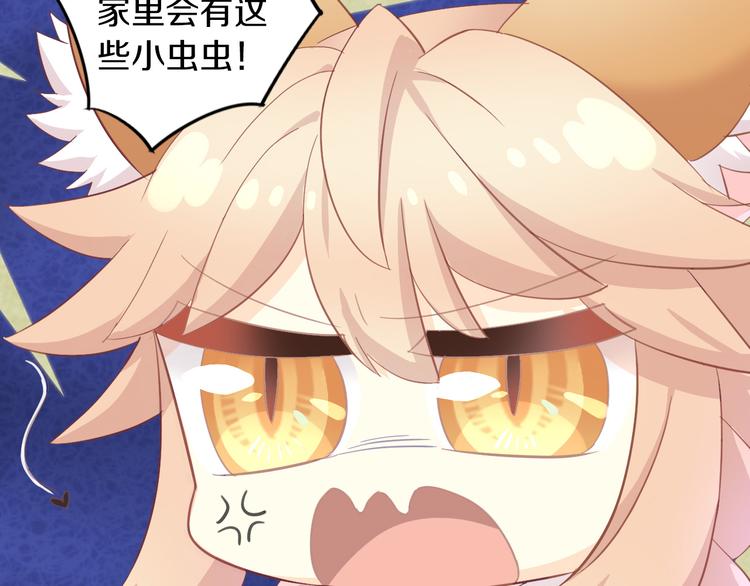 第166话 猫咪花园47