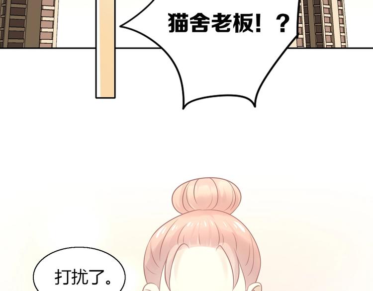 第130话 猫舍C位（六）6